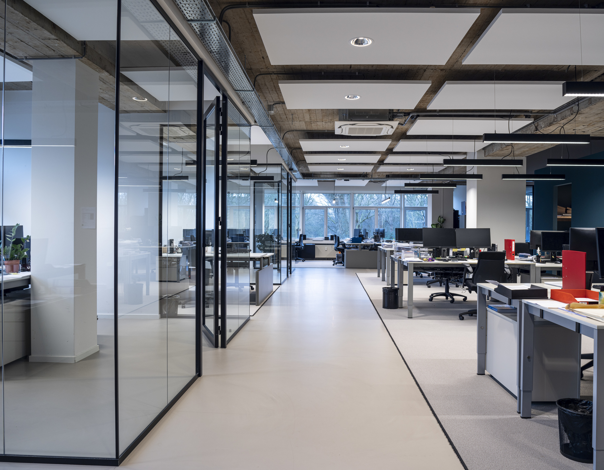 Commercial office interior buildout with professional finishes